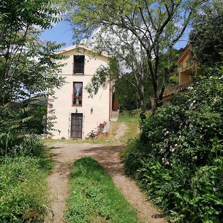 Stellaria Casa Vacanze In Montagna Panorama Stupendo Sardegna Seùlo 외부 사진
