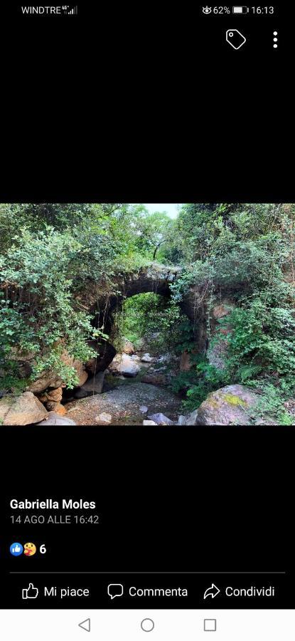 Stellaria Casa Vacanze In Montagna Panorama Stupendo Sardegna Seùlo 외부 사진