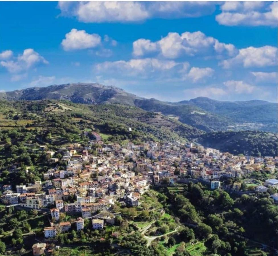 Stellaria Casa Vacanze In Montagna Panorama Stupendo Sardegna Seùlo 외부 사진