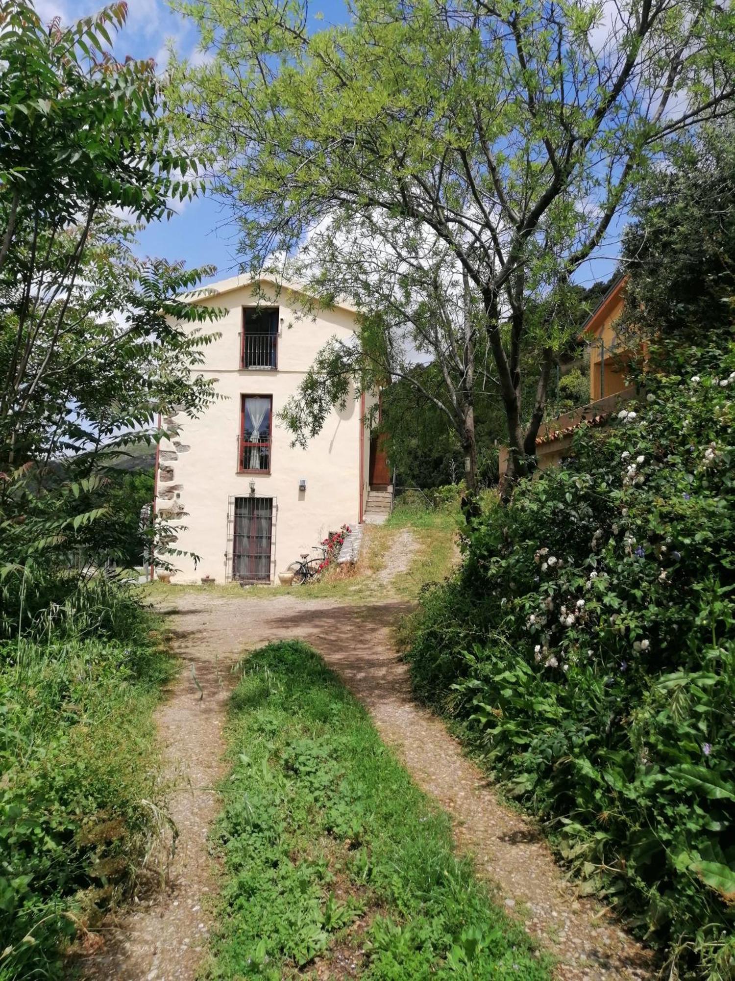 Stellaria Casa Vacanze In Montagna Panorama Stupendo Sardegna Seùlo 외부 사진