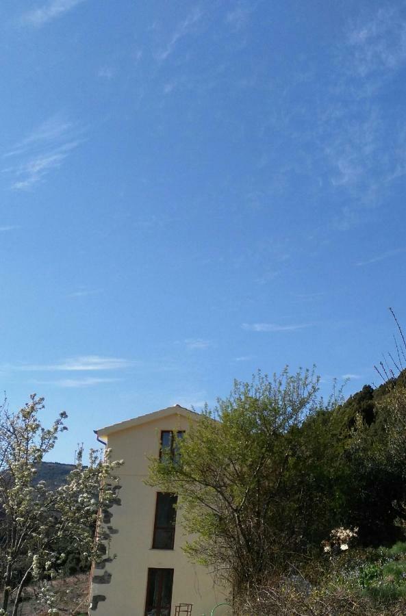 Stellaria Casa Vacanze In Montagna Panorama Stupendo Sardegna Seùlo 외부 사진