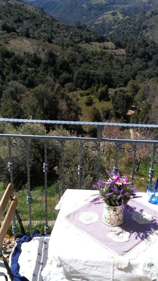 Stellaria Casa Vacanze In Montagna Panorama Stupendo Sardegna Seùlo 외부 사진