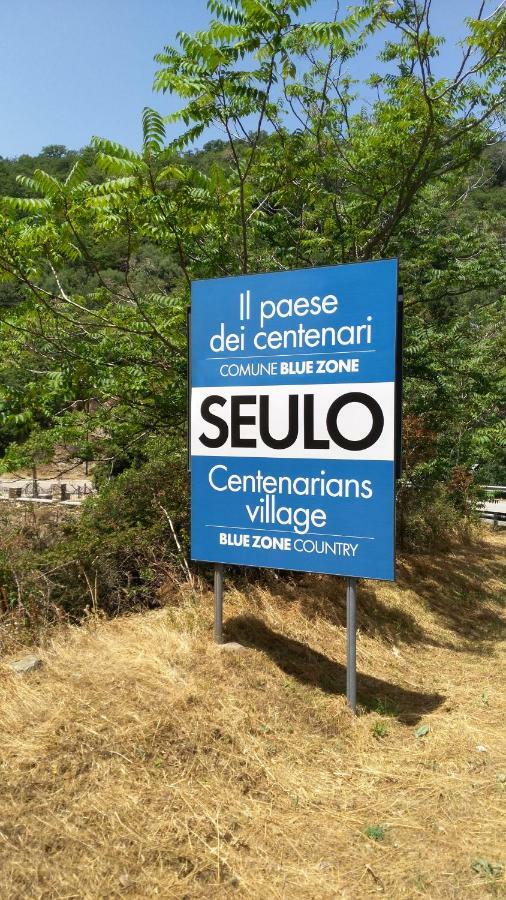 Stellaria Casa Vacanze In Montagna Panorama Stupendo Sardegna Seùlo 외부 사진