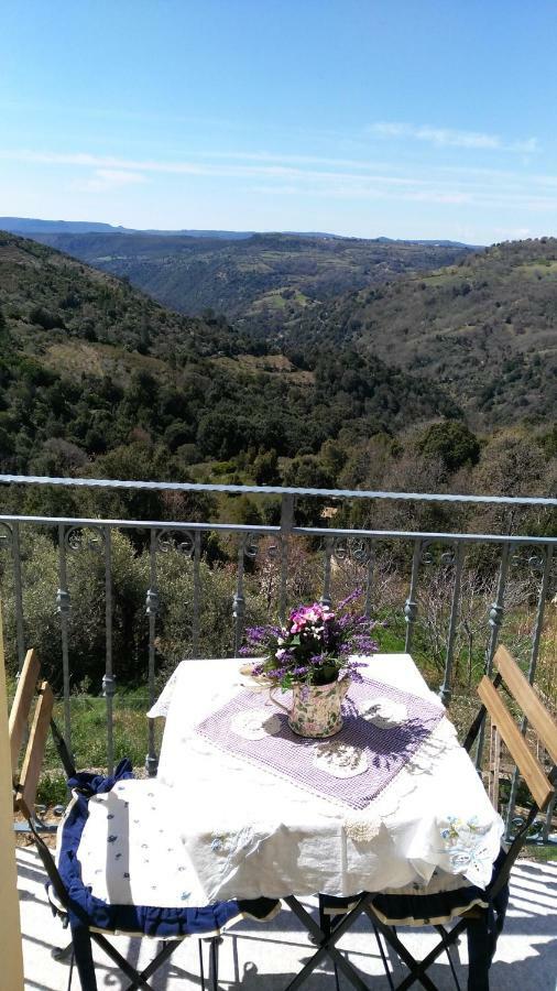 Stellaria Casa Vacanze In Montagna Panorama Stupendo Sardegna Seùlo 외부 사진