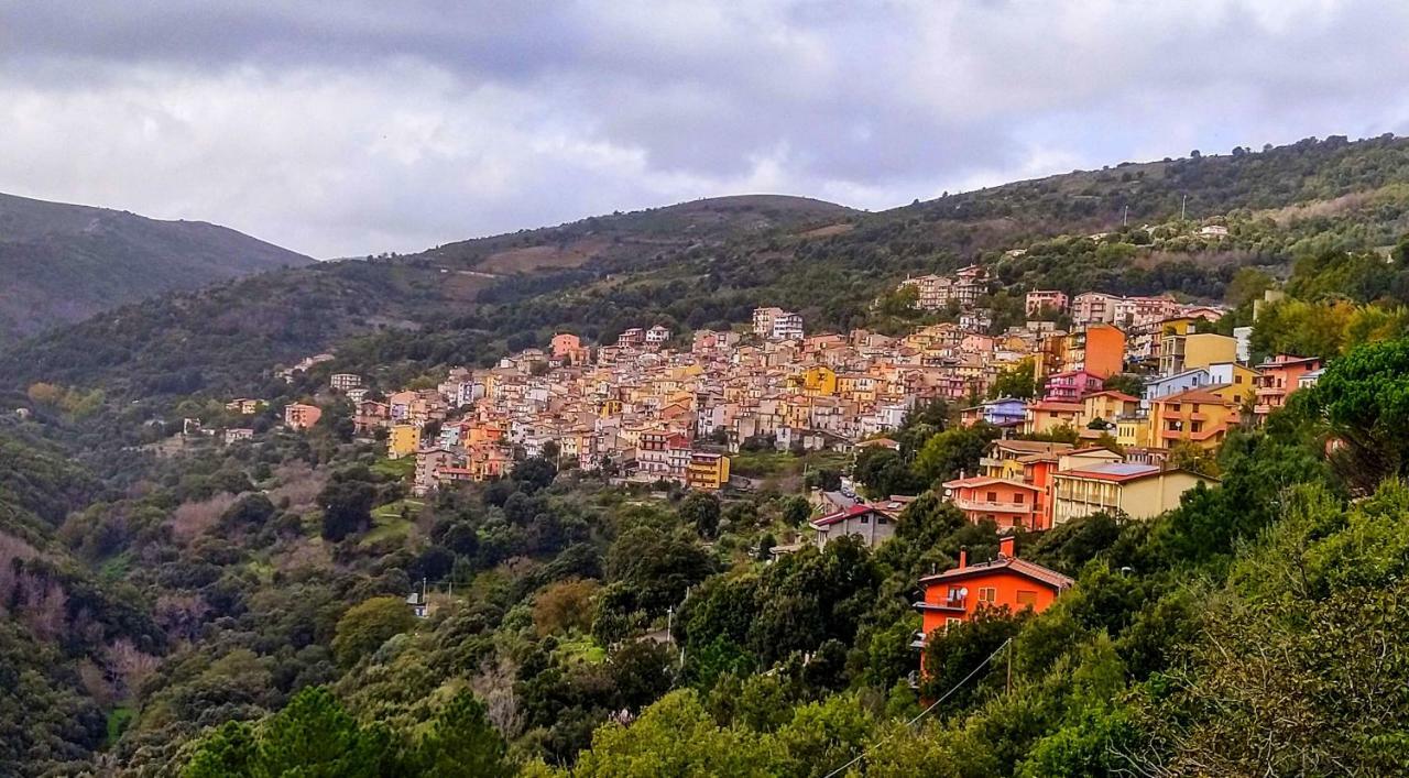Stellaria Casa Vacanze In Montagna Panorama Stupendo Sardegna Seùlo 외부 사진