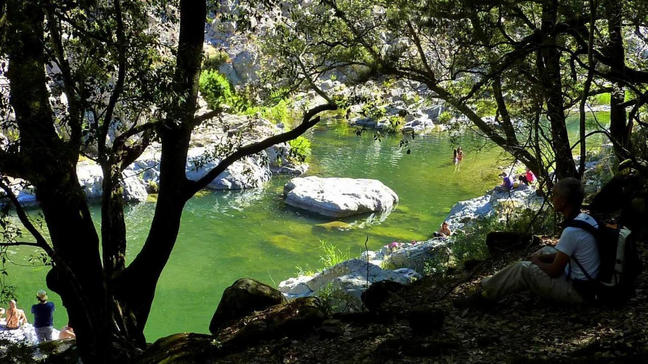 Stellaria Casa Vacanze In Montagna Panorama Stupendo Sardegna Seùlo 외부 사진